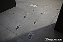 VBS_2351 - Mostra The World of Banksy - The Immersive Experience